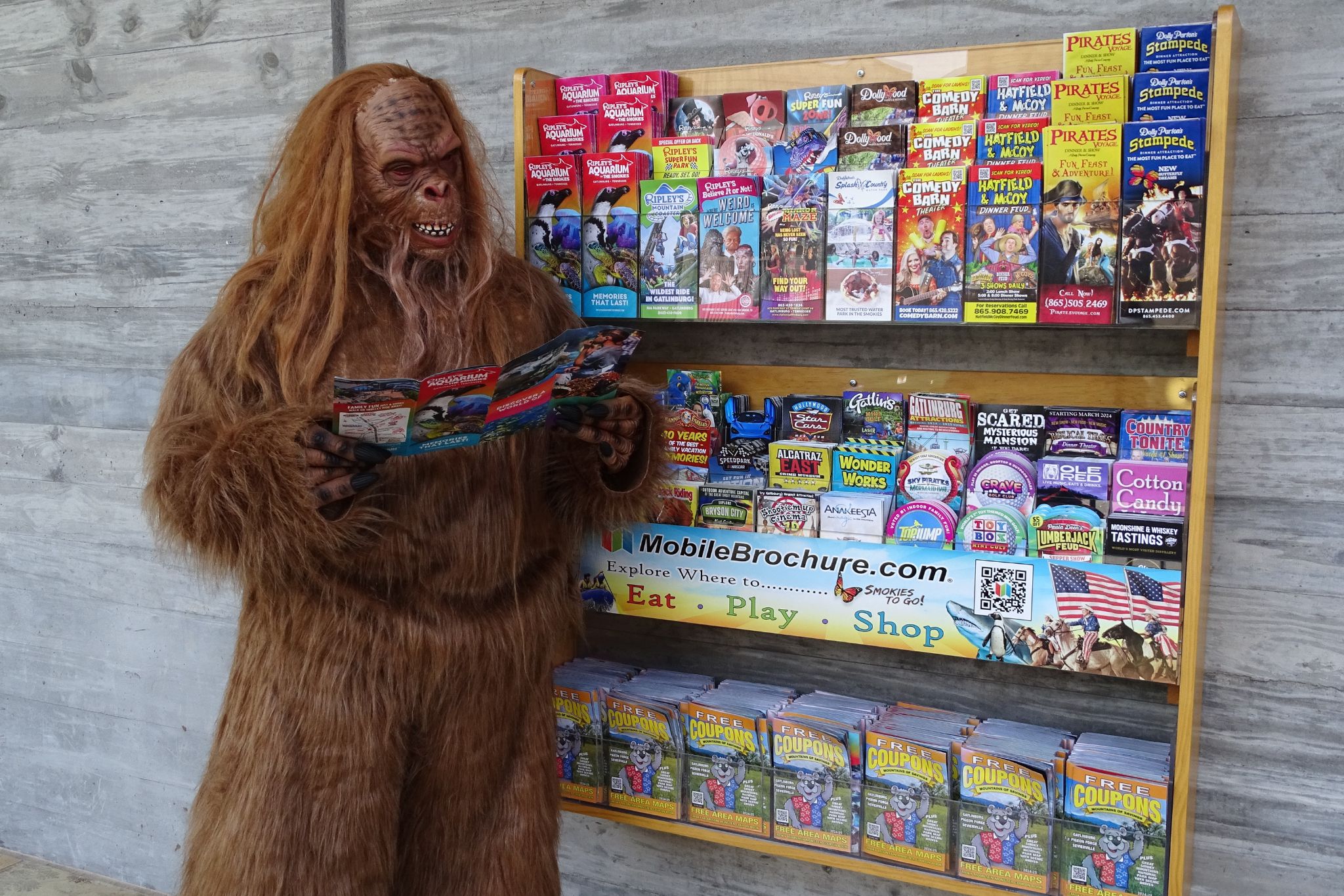 62 - Sasquatch Splash - What to Do in the Smokies - Sasquatch Can Help You Decide Angelique